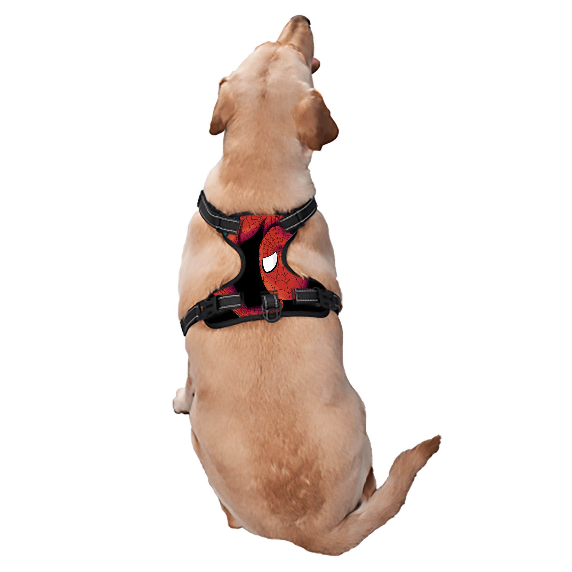 （画像用） Spider Man スパイダーマン ペット用ハーネス